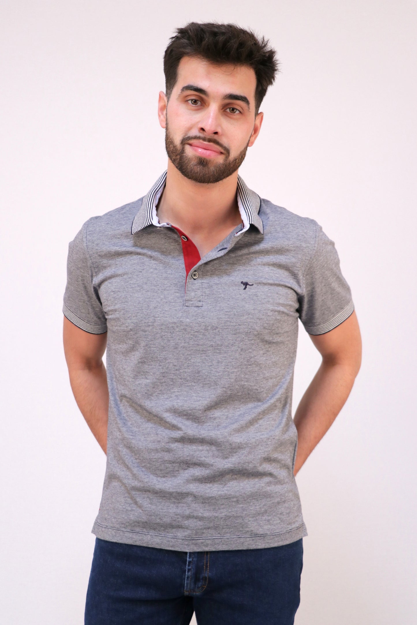 Polo Jersey Riscas Finas