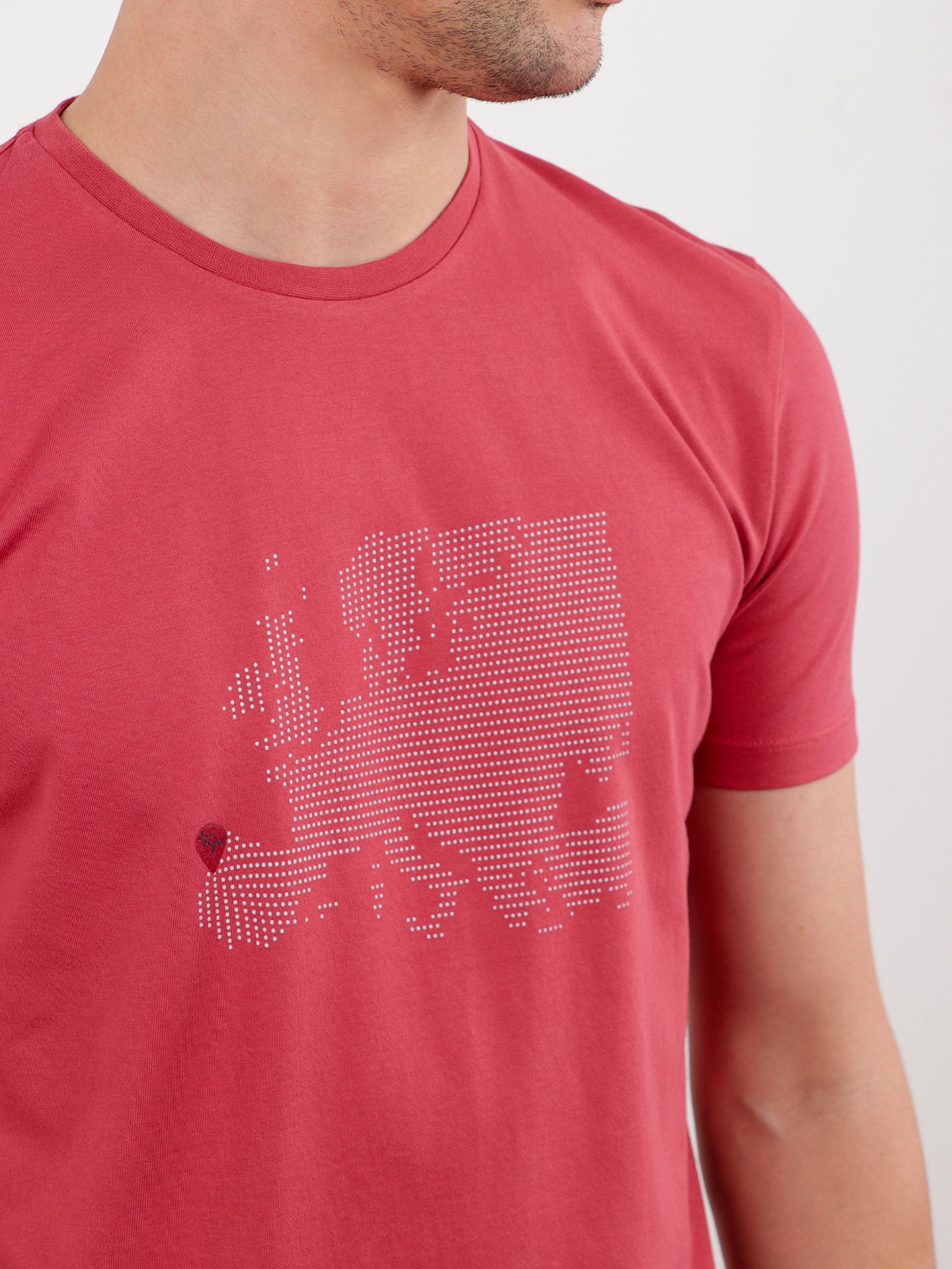 T-Shirt Jersey Estampada Mapa Europa 2 Cores